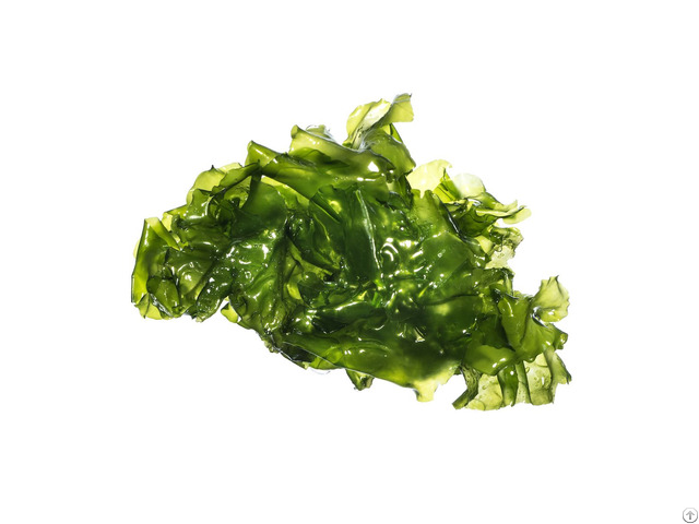 Ulva Lactuca Seaweed Sea Lettuce Dried Flakes 100% Organic With High Quality From Vietnam