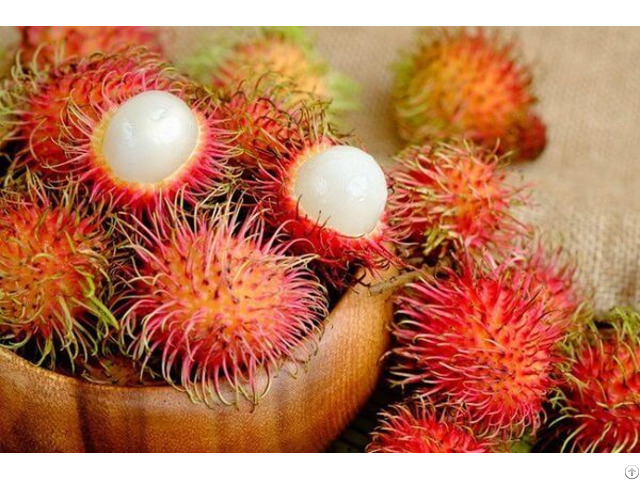 Fresh Rambutan Very Sweet With Premium From Vietnam