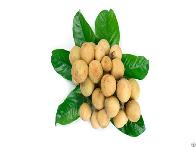 Langsat Longkong So Delicious From Vietnam