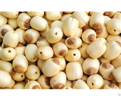 Dried Lotus Seed High Quality Good Price Best Service