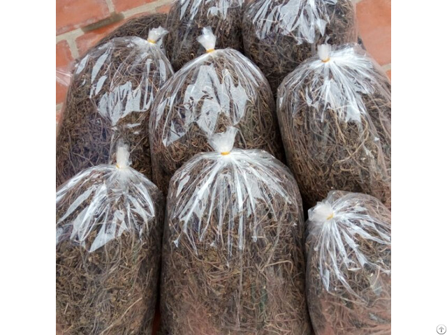 Dried Black Grass Jellyhigh Quality From Vietnam Good Price Best Service