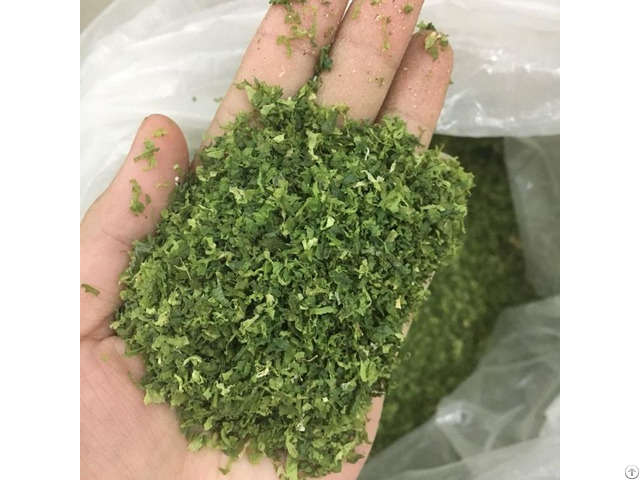 Natural Seaweed Powder For Animal Feed