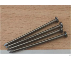 Common Flat Head Nails