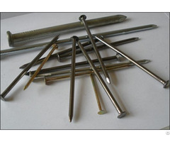 Common Round Nails