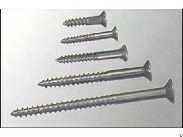 Wood Screws