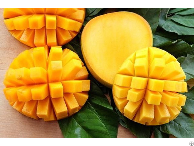 Atl Global Best Price Fresh Mango With High Quality From Vietnam Whatsapp 84975262928 Helen