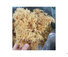 Organic Seamoss Irish Moss High Quality Seafood From Vietnam