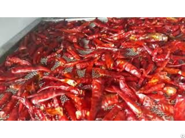 Export Vietnam High Quality Natural Dried Red Chili Pepper Whatsapp 84 966572486