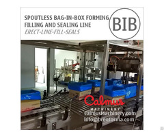 Carton Liner Bag In Box Line For Packaging Margarine Butter Fluids