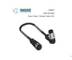 Ingke 1668603 Sensor Actuator Cables M12 Cable Assembly