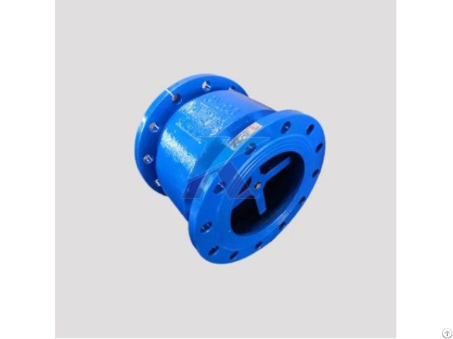 Silencing Check Valve