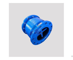 Silencing Check Valve