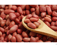 Viet Nam Dried New 2021 Peeled Peanuts High Quality For Food Whatsapp 84966572486