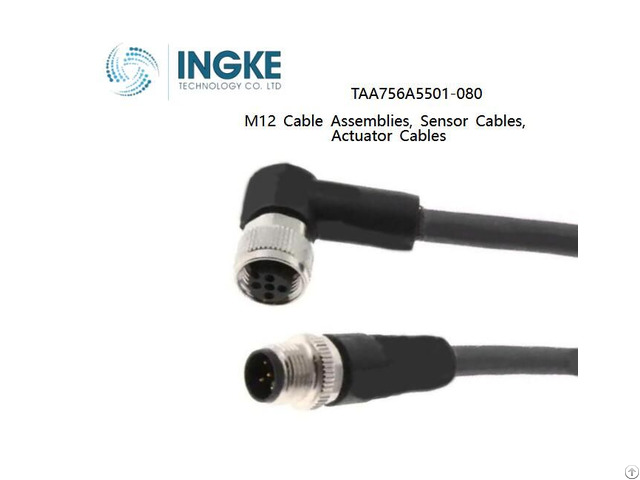 Ingke Taa756a5501 080 M12 Cable Assemblies Sensor Actuator Cables