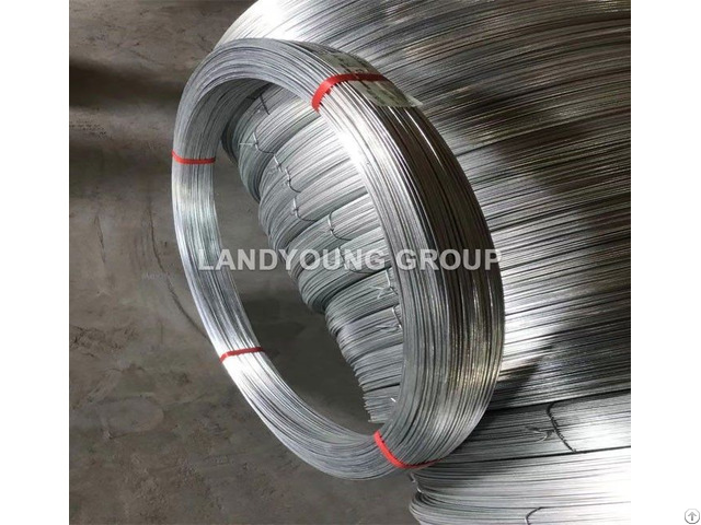 Electro Galvanized Wire Landyoung