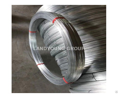 Electro Galvanized Wire Landyoung