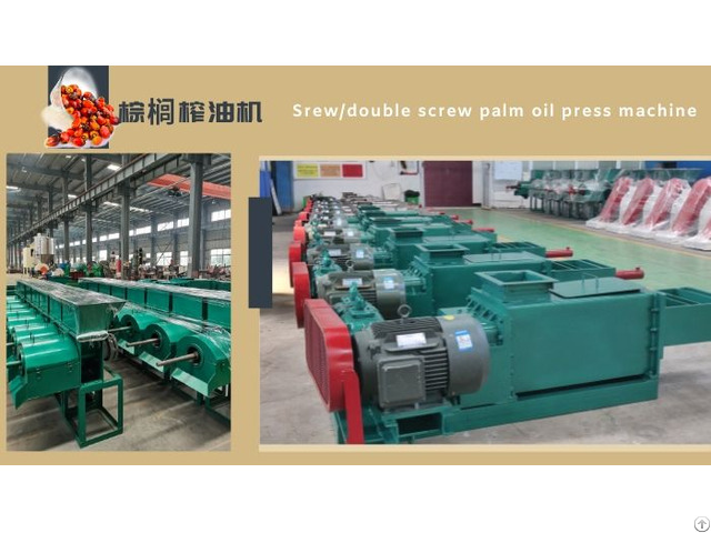 Between Single And Double Screw Palm Oil Press Machine