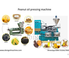 High= Yield Low Residual Rate With Good Quality Peanut Oil Process Machine