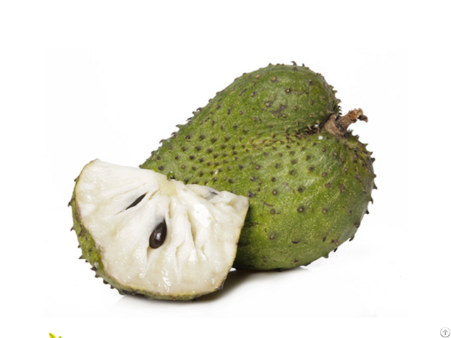 Frozen Soursop Graviola High Quality For Exporting From Vietnam