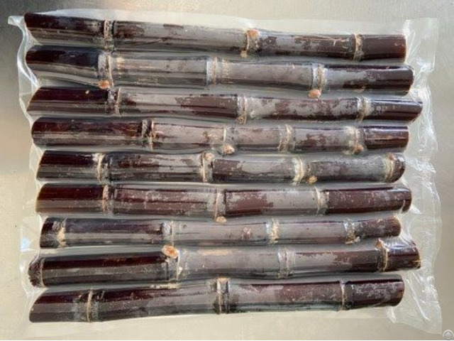 Frozen Sugarcane Saccharum Year Round High Quality For Exporting From Vietna