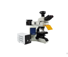 Fluorescence Microscope Mf43 N