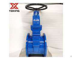 Bs5163 Resilient Seated Gate Valve For Water System