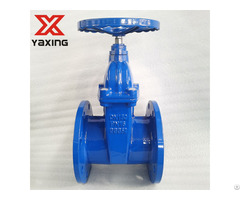 Bs5163 Rf Resilient Seated Gate Valve For Water System