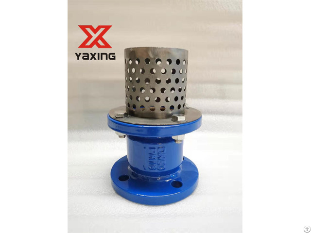 Ductile Iron Flange Foot Valve For Water