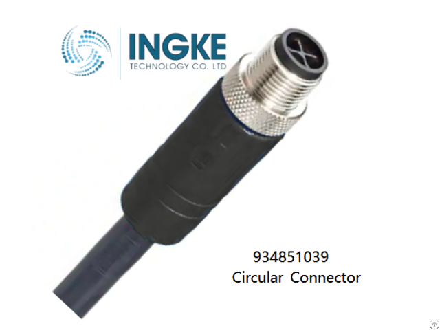 Ingke 934851039 Cbl 4pos Male To Wire 6 56