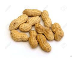 Natural Raw Peanuts Nutrition With Best Price