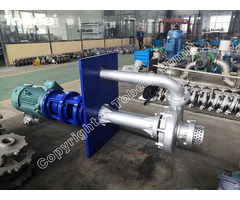 Tobee® Tls125 20 High Temperature Vertical Sulphuric Acid Slurry Pump