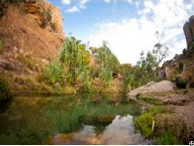 Trek To Natural Holes Oases And Springs With Jurassic Park Tour Madagascar