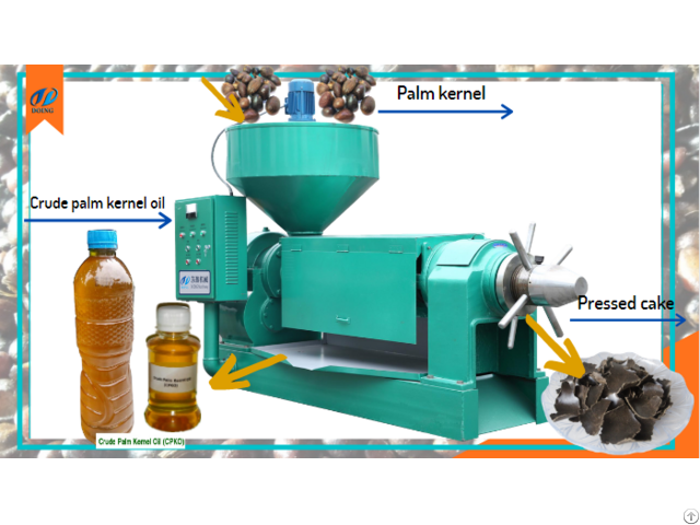 Small Scale Palm Kernel Oil Press Machine In Ghana