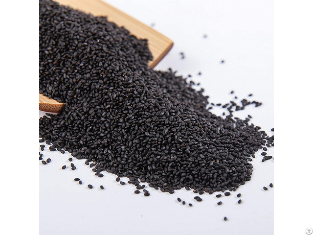 Basil Seed Best Price