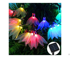 Solar Led String Light S245a With Feather