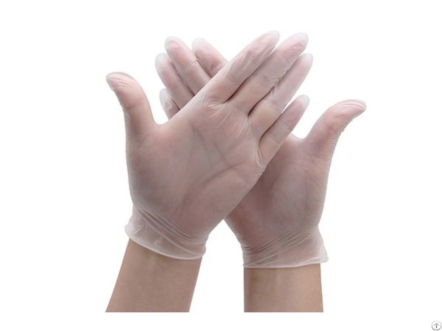 Biodegradable Gloves