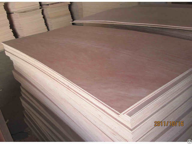 Okoume Bintangor And Pine Plywood