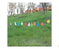 Marking Flag Plain