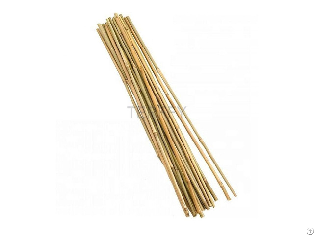 Bamboo Pole Hebei Terffy Imp And Exp Trade Co Ltd