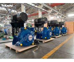 China Tobee Manufactures 6x4d Sludge Slurry Pumps