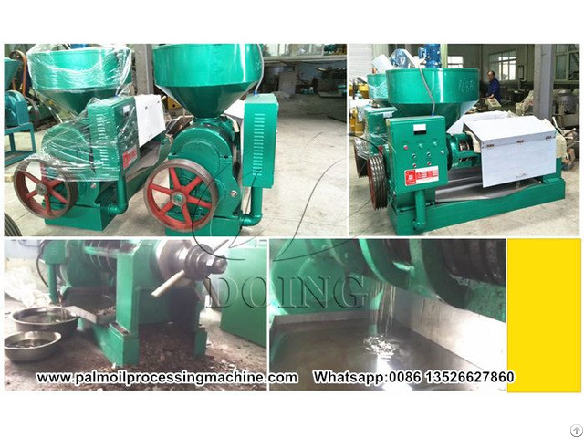 Factory Price Palm Kernel Oil Processing Extracting Machine For Sale