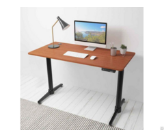 Dual Motor Standing Desk