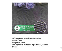 20d Polyester America Net