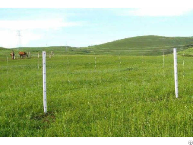 Square Knots Field Fences
