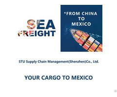 Freight Forwarding Sea Shipping From China To Mexico By Ddu