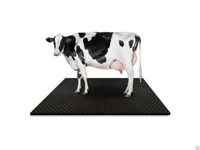 Cow Mats Bubble