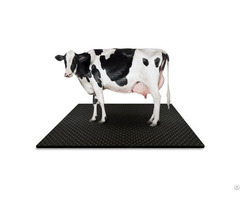 Cow Mats Bubble