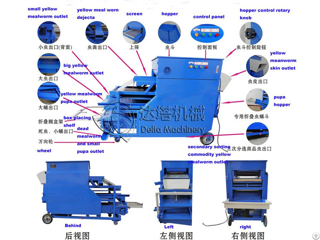 Yellow Mealworm Separating Machine Larvae Tenebrio Molitor Separator