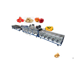 Citrus Lemon Orange Potato Mango Washing Drying Grading Machine