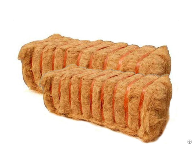 Coconut Fibre From Indonesia